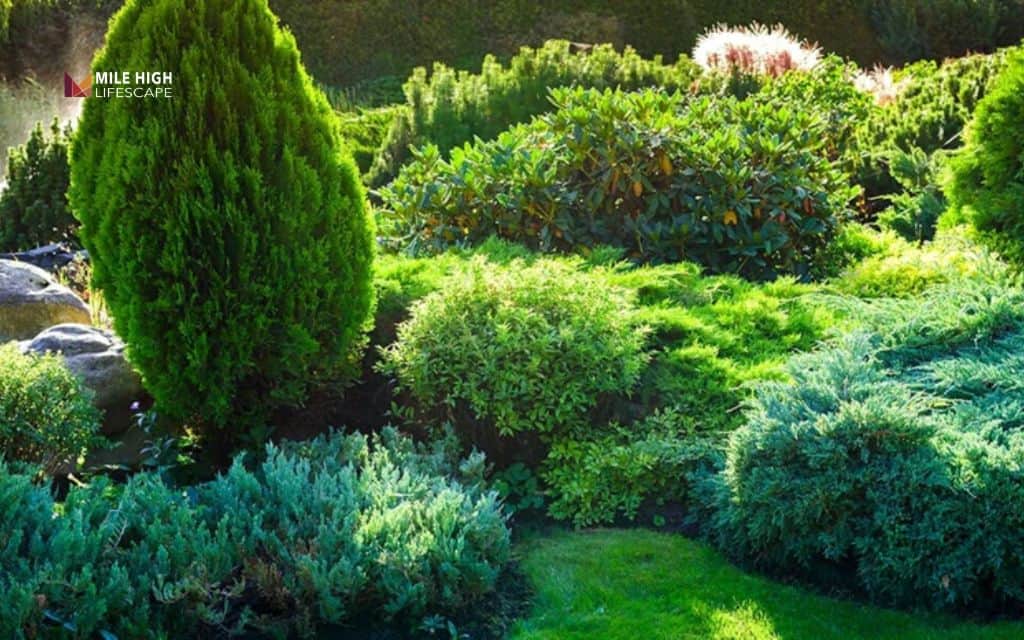 Landscape ideas for front of house: Layer in seasonal color between evergreens