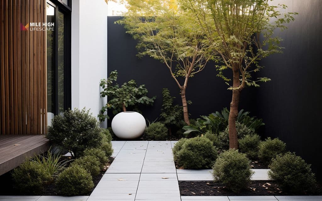 Landscape ideas for front of house: Modern and minimalist: clean lines and architectural plants