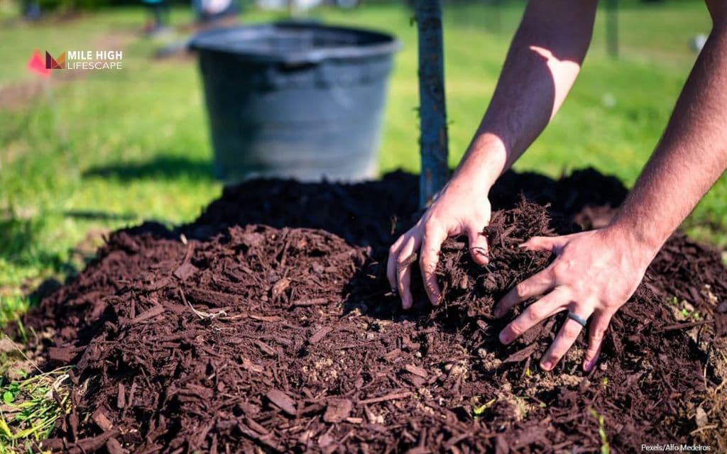 Landscape ideas for front of house: Mulch every flower bed to suppress weeds and lock in moisture