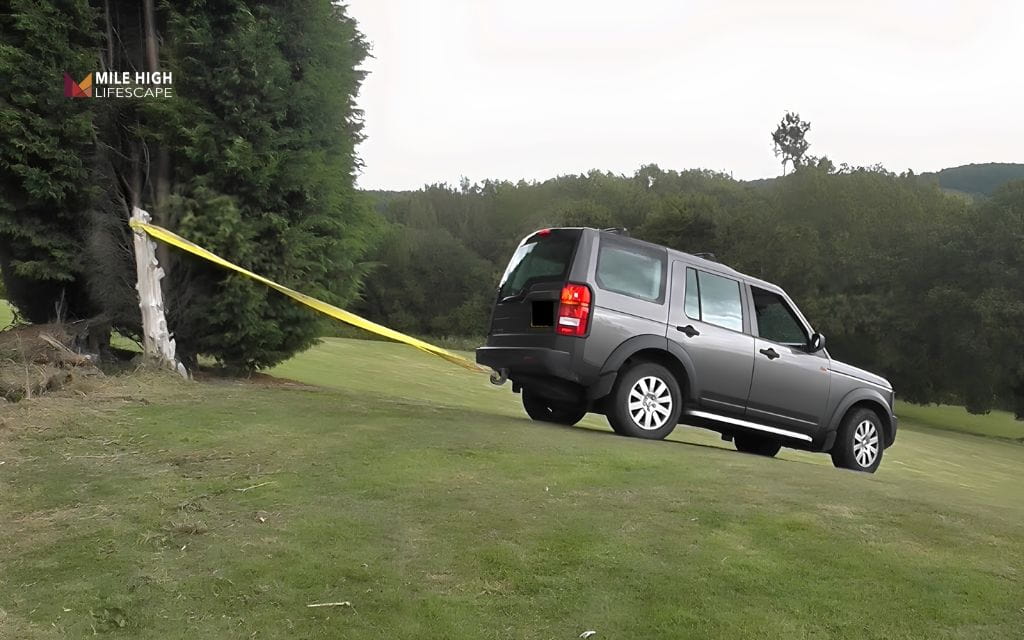 How To Get Rid of Tree Trunks: Pulling with a consumer vehicle