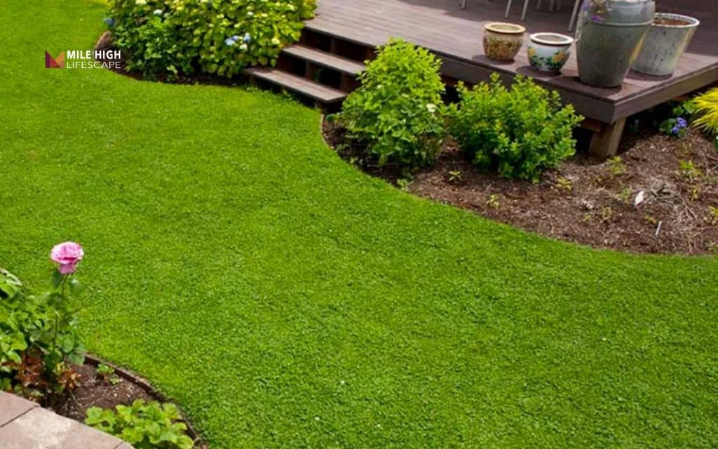 Landscape ideas for front of house: Replace problem grass patches with groundcover
