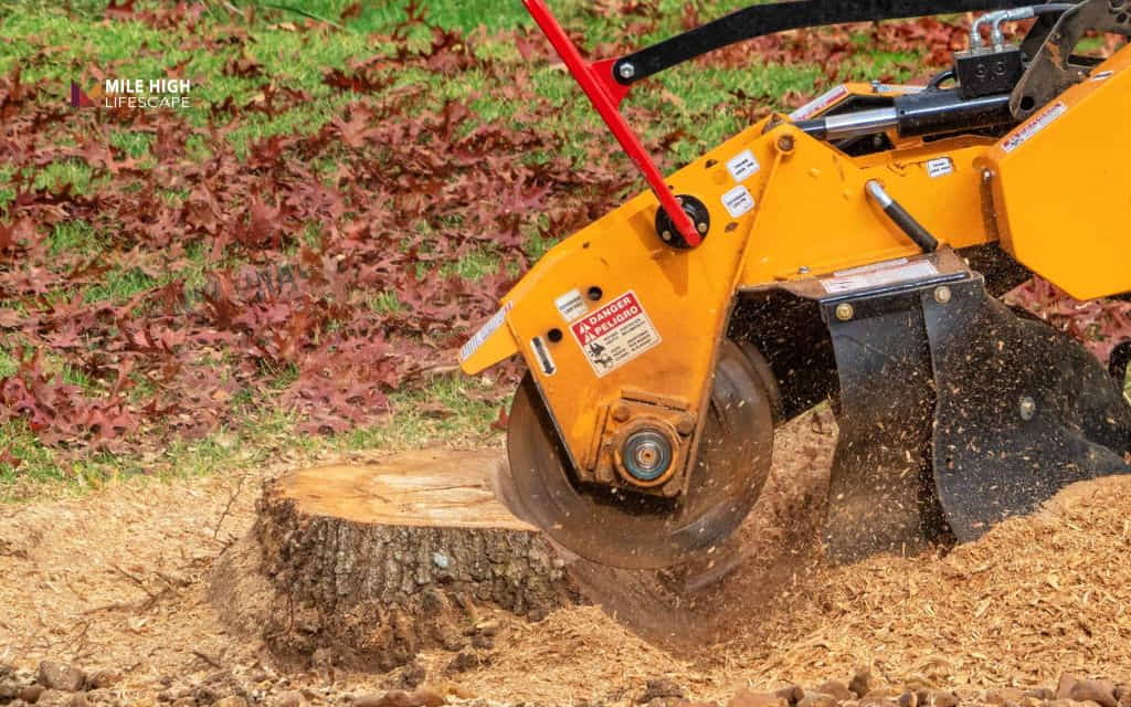 How To Get Rid of Tree Trunks: Stump grinding