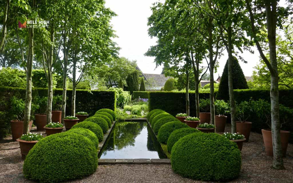 Landscape ideas for front of house: Use evergreens as the structural backbone
