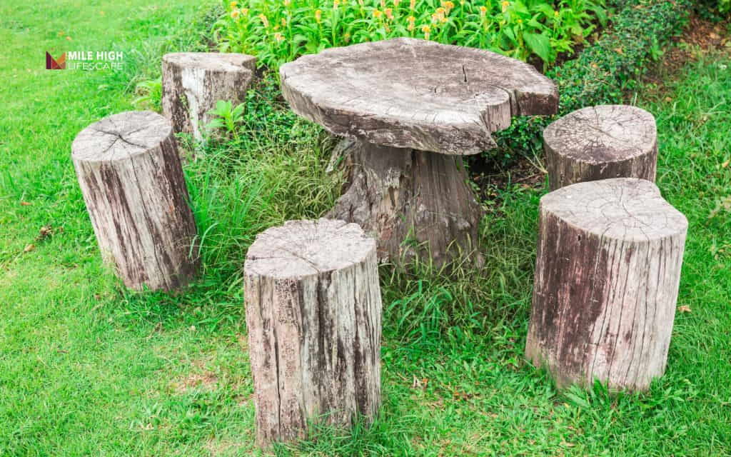 Will a tree stump regrow: What stump regrowth can do to your yard