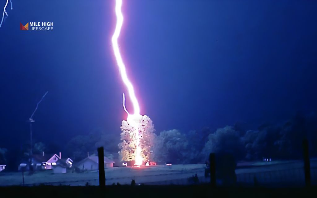 How lightning strikes a tree