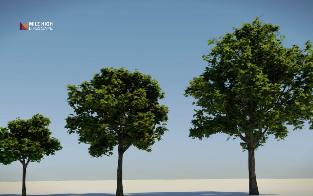 How to stop a tree from growing