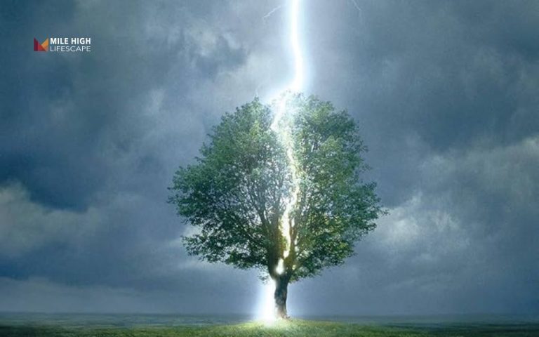 Lightning striking a tree