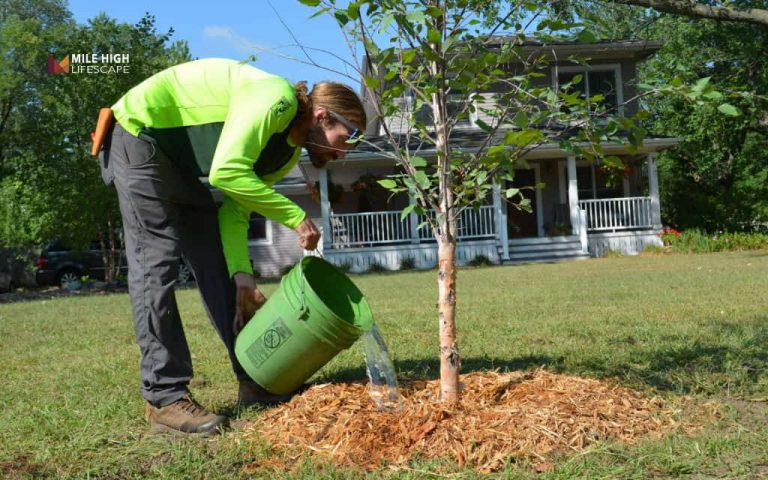 Tree disease treatment