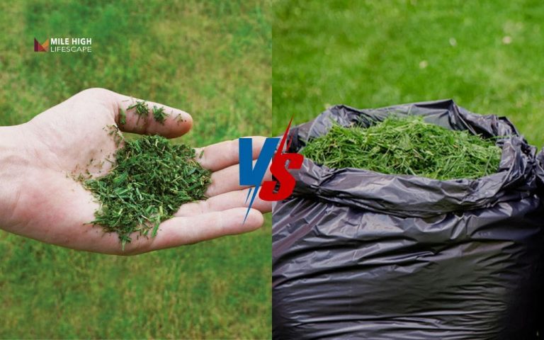 bagging vs mulching grass