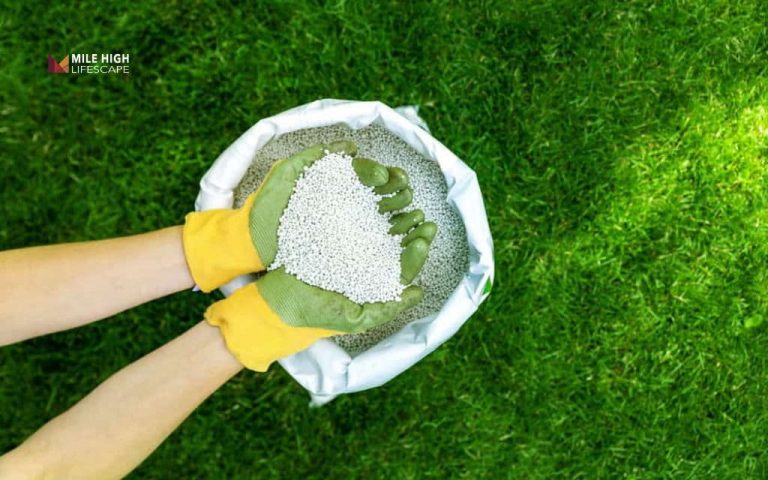 lawn lime