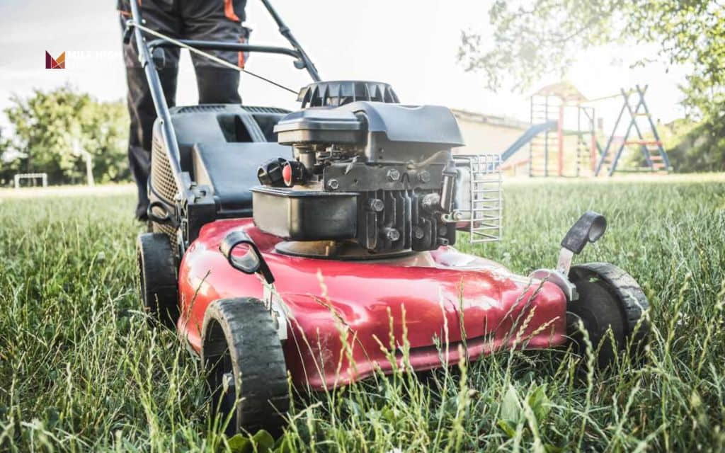 bagging vs mulching grass: Matching your mower to your method