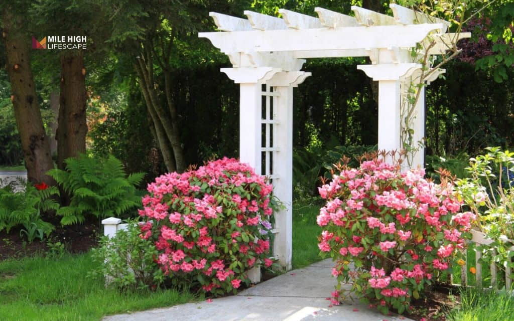 Arbor cost: Other factors that affect arbor price