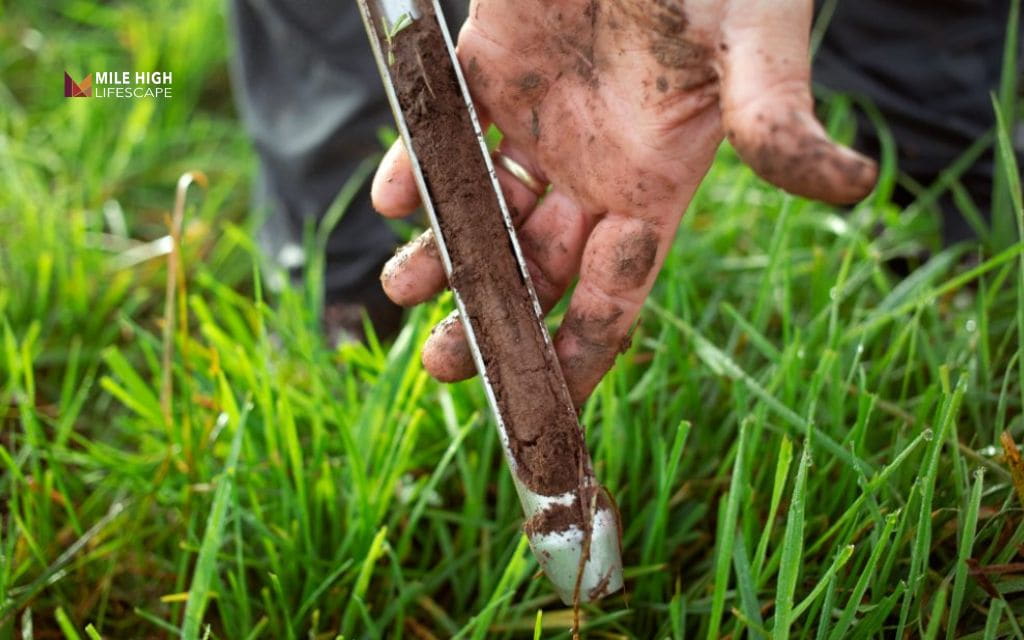 lawn lime: Signs that may justify a soil test