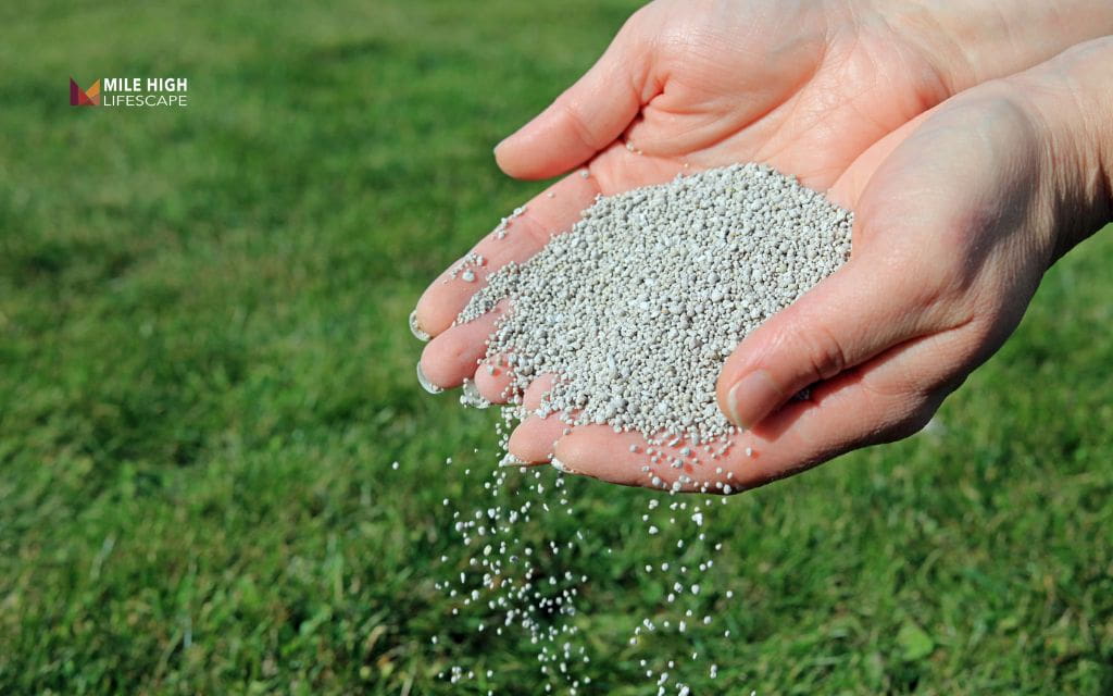 Types of lawn lime and when each applies