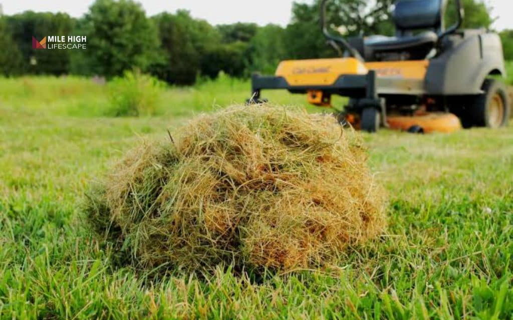 bagging vs mulching grass: What is grass bagging