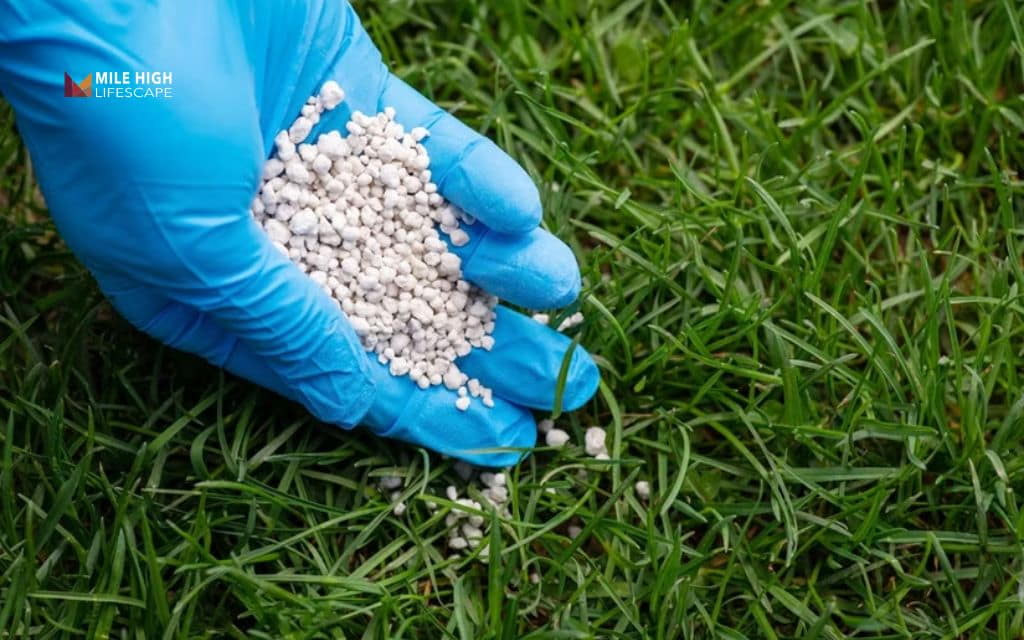 What lawn lime is and what it does