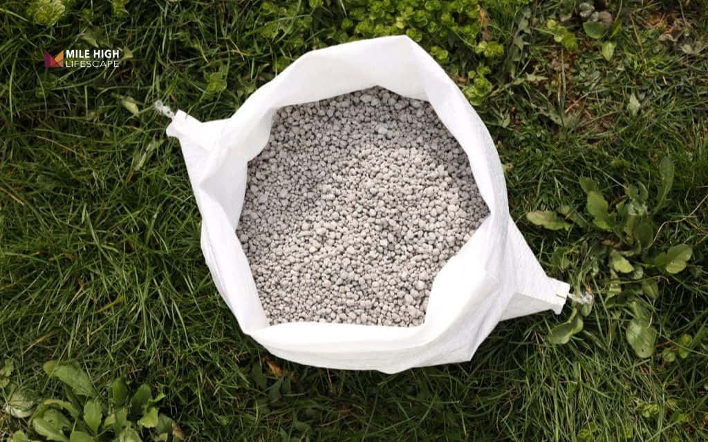 lawn lime: When and how to apply lime correctly