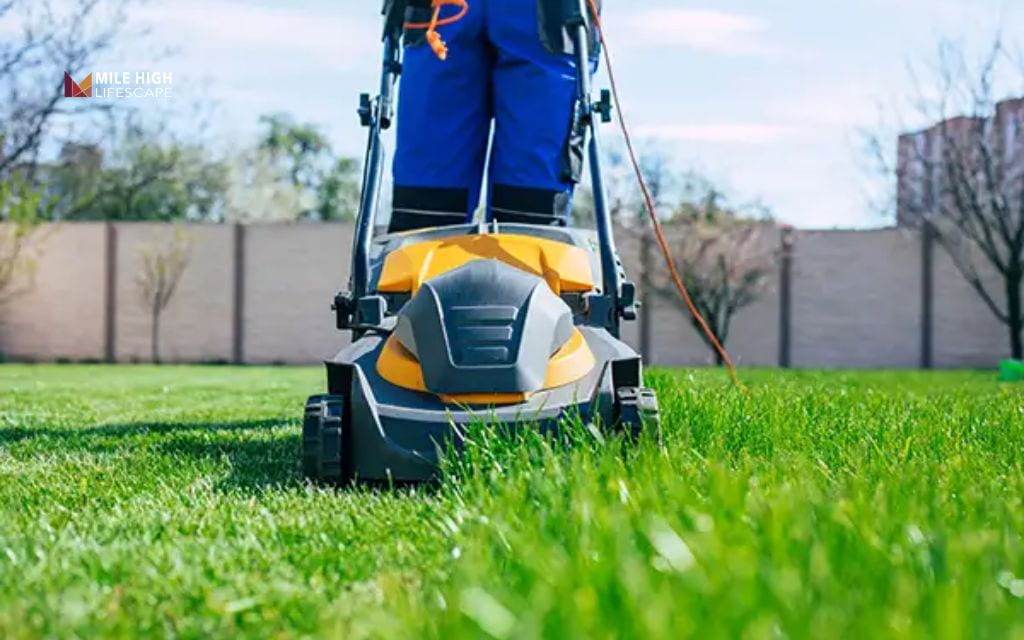 when to winterize lawn: Why winterizing timing matters