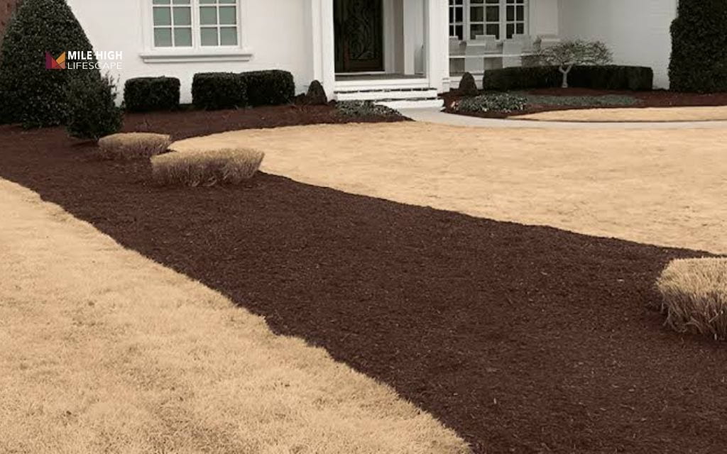 mulch vs pine straw: Aesthetic