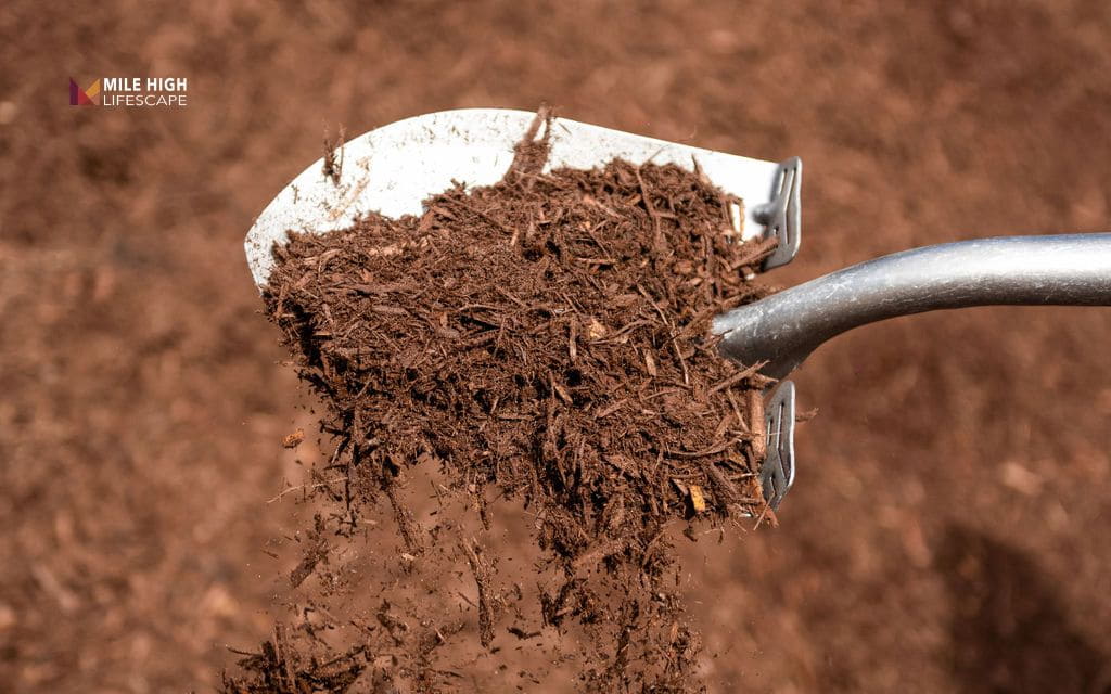 is cypress mulch good: Environmental and sourcing considerations