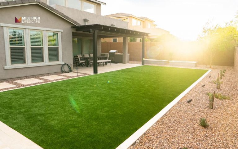 grass seed arizona
