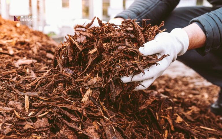 how often to replace mulch