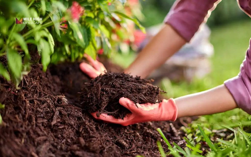 organic mulch vs inorganic mulch: How to choose the right mulch for each area