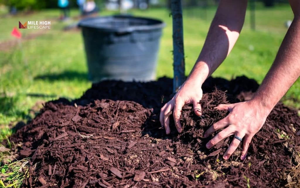 how to keep mulch in place: Keep mulch moist