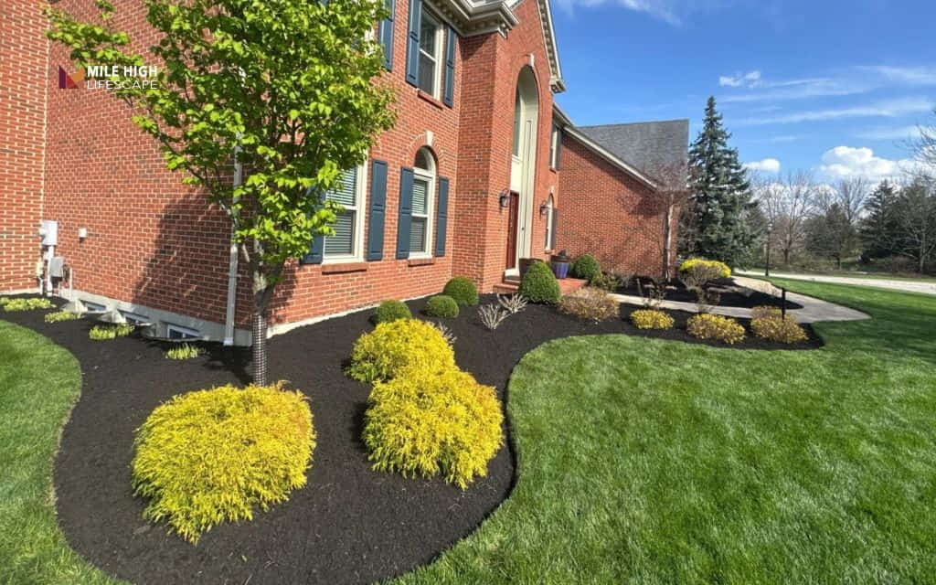 mulch vs pine straw: Local climate and landscape