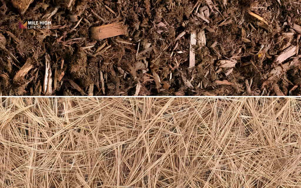 mulch vs pine straw: Moisture retention
