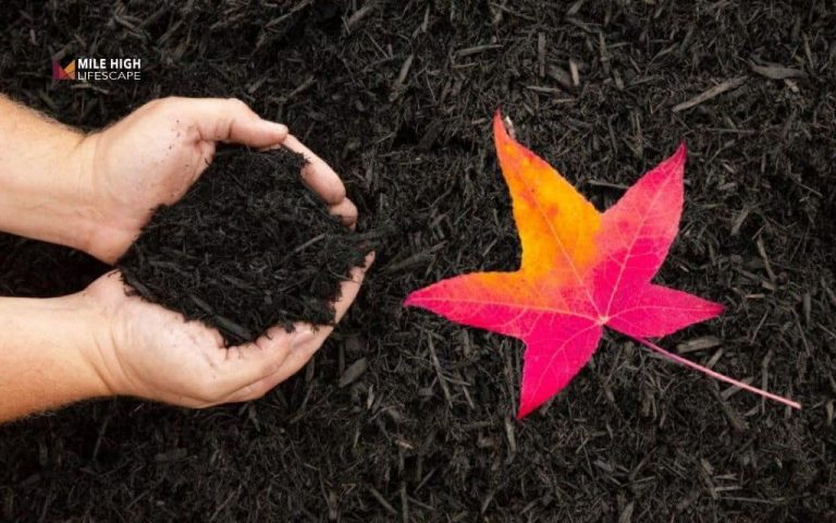 Mulch in fall
