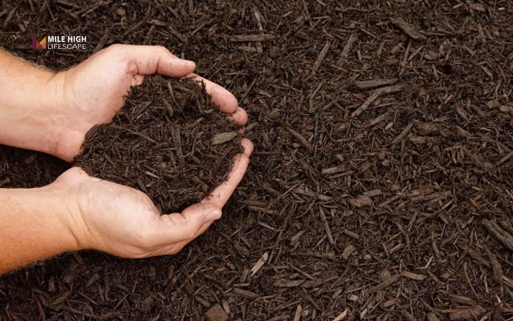 DIY hydroseeding: Step 1: Choose your seed and mulch
