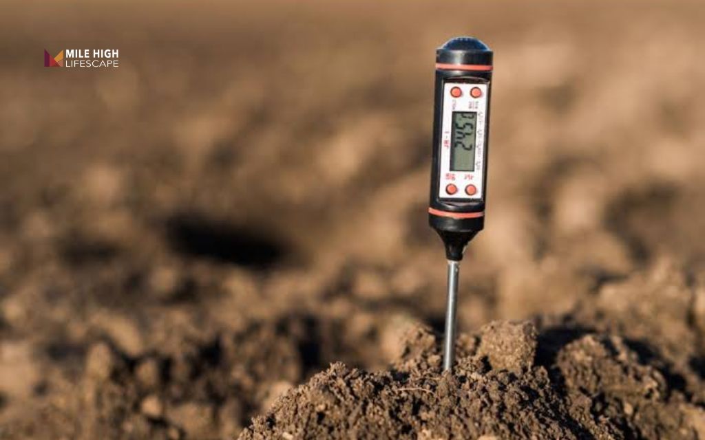 DIY hydroseeding: Step 2: Test and correct your soil