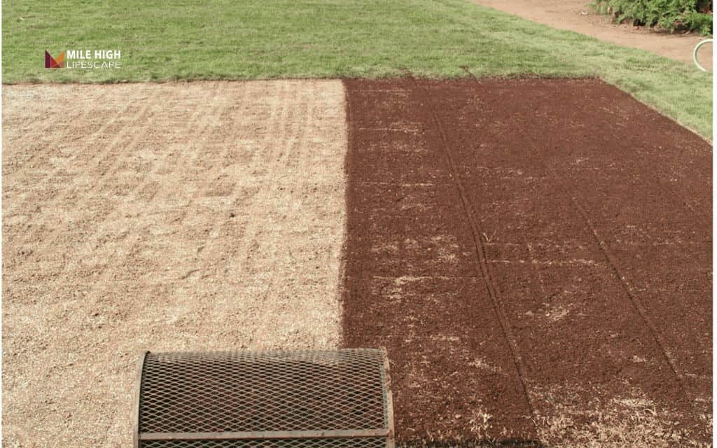 DIY hydroseeding: Step 3: Prepare the ground