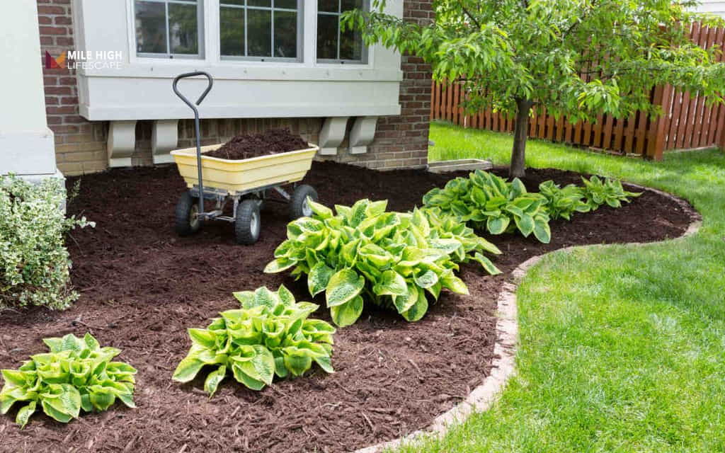 how to keep mulch in place: Use strategic planting to anchor mulch