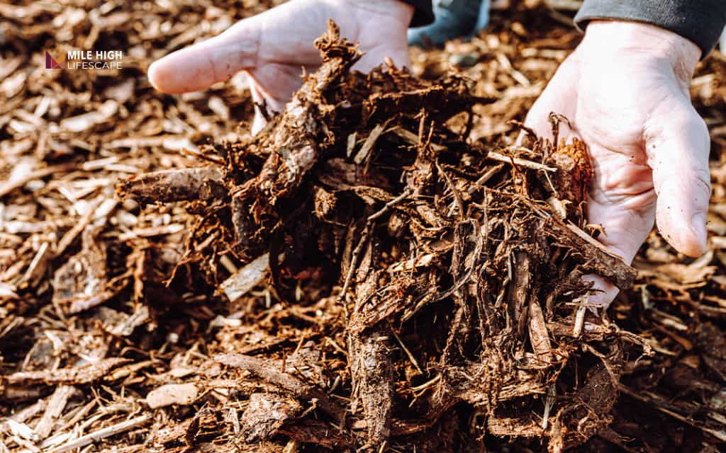 organic mulch vs inorganic mulch: What is organic mulch?