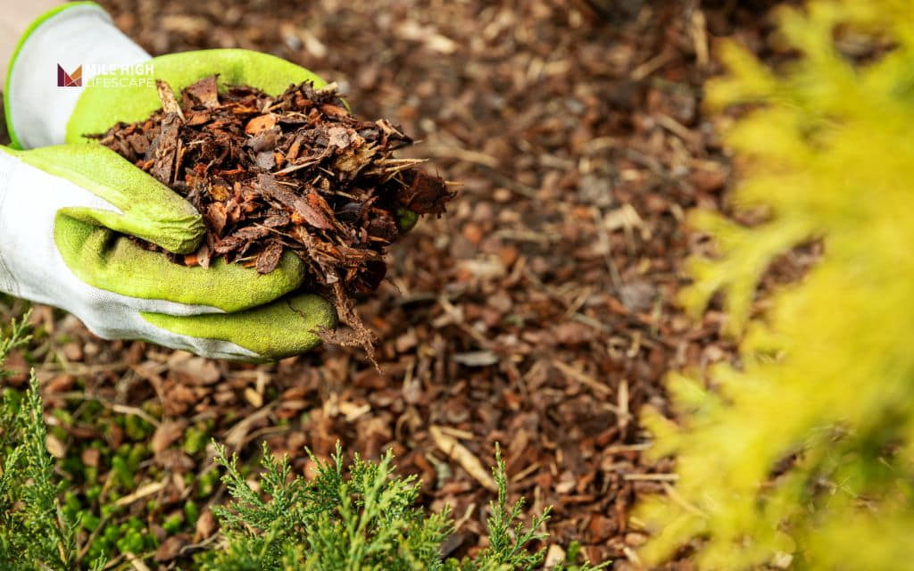 When to mulch in fall