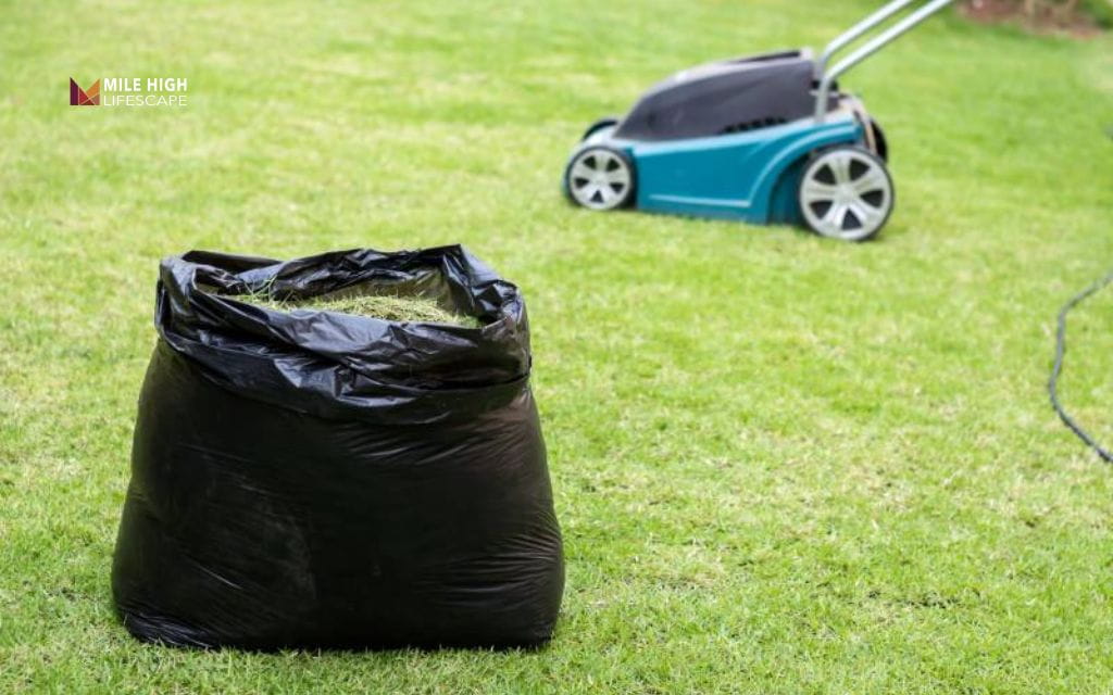 bag or mulch lawn: Advantages of bagging lawn clippings