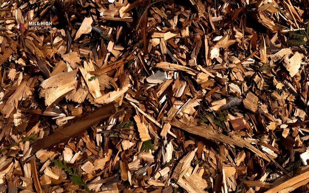 mulch path: Arborist wood chips