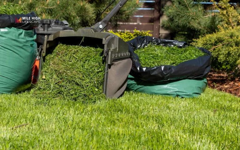 bag or mulch lawn