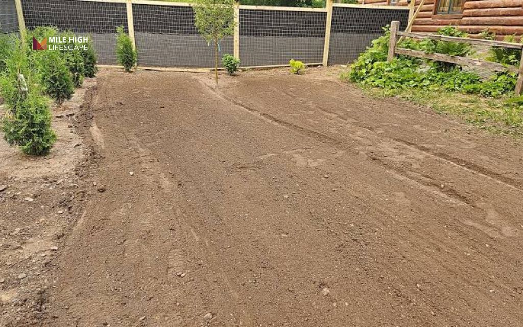 Bare sites need clean grading, workable soil, and proper drainage first