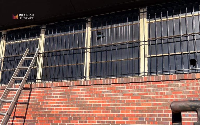 Black Steel Security Bars for Windows