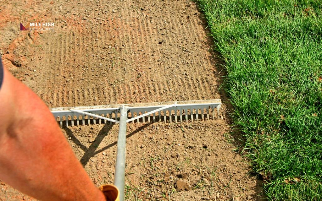 Avoid over-tilling, poor grading, dry soil, and unnecessary fertilizer before installation