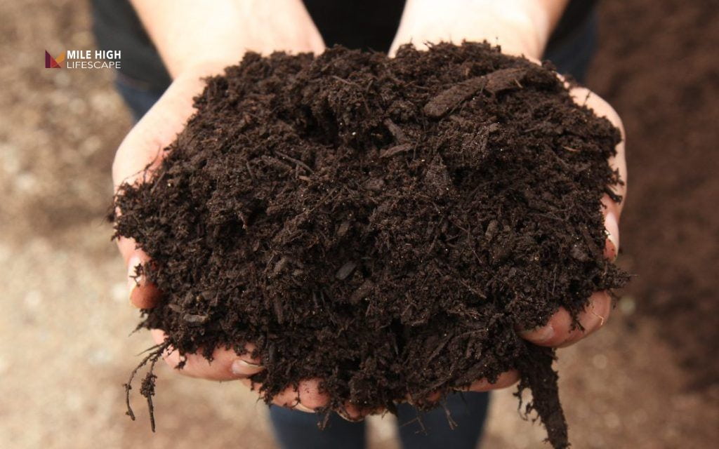 mulch path: Hardwood bark
