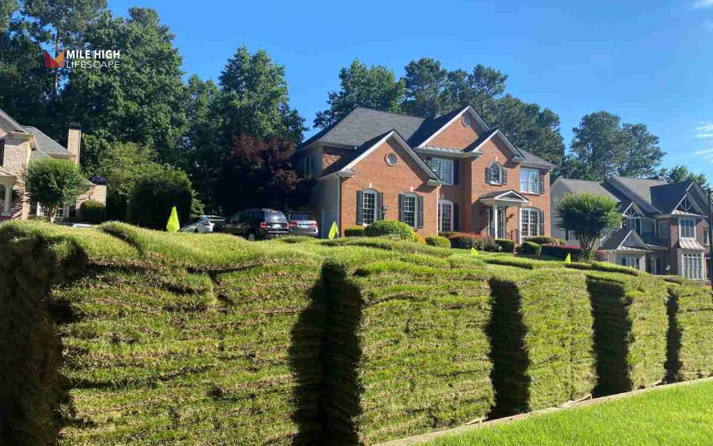Check how many square feet does a pallet of sod cover before adding extra material.