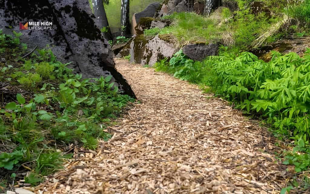 mulch path: How to maintain a mulch garden path year by year