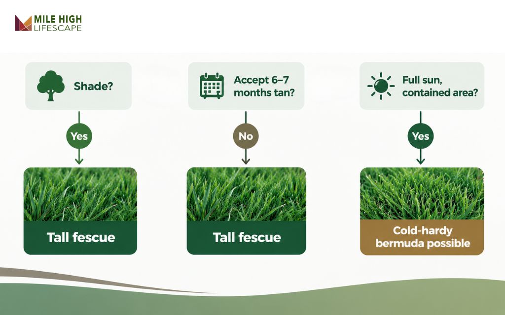 Flowchart for choosing between tall fescue and bermuda grass for a Denver lawn