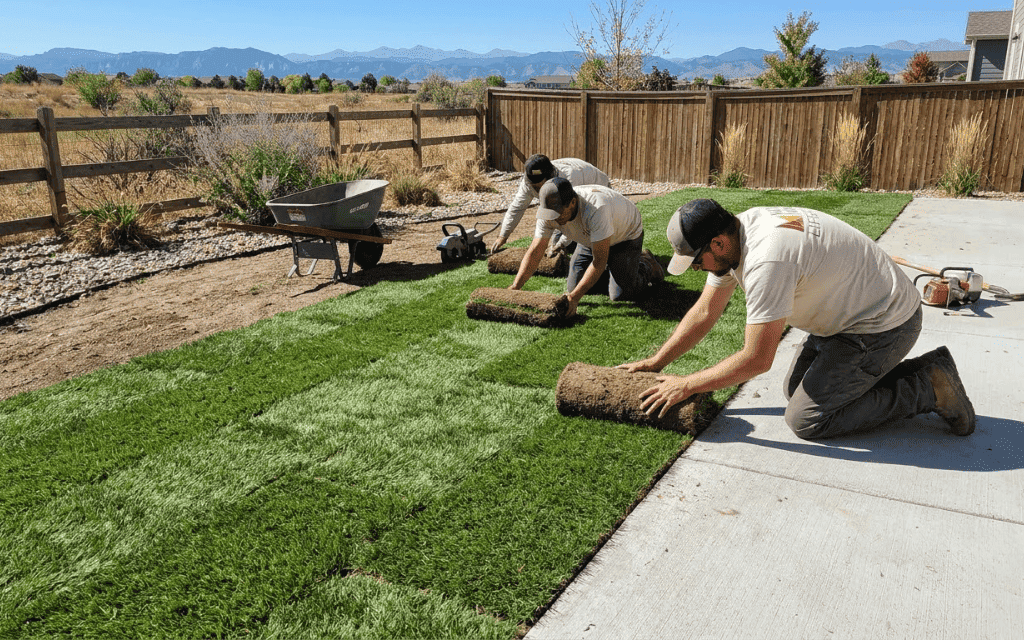 Mile High Lifescape crew laying sod flush with a patio during a sod installation in Denver