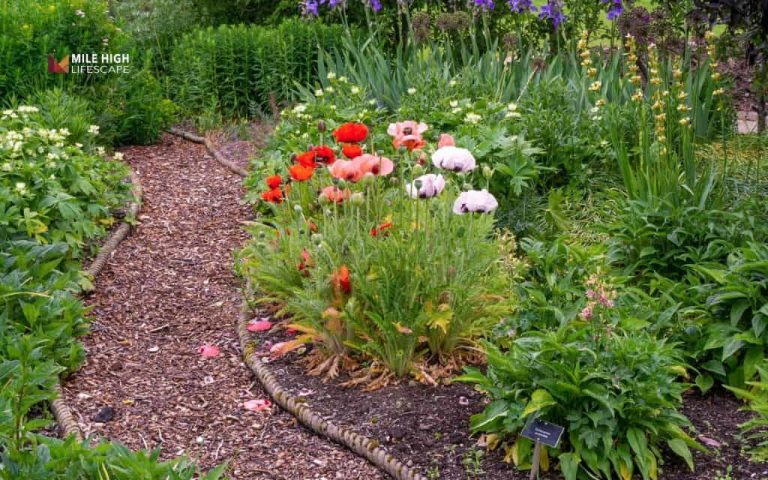 mulch path