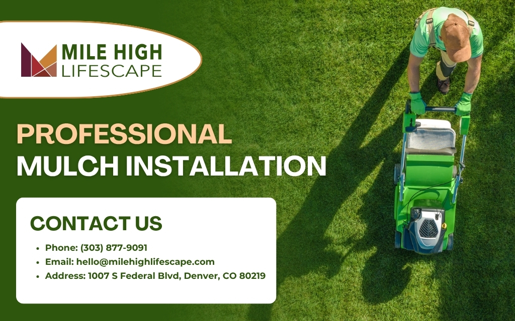 Professional mulch installation helps protect soil and improve planting beds